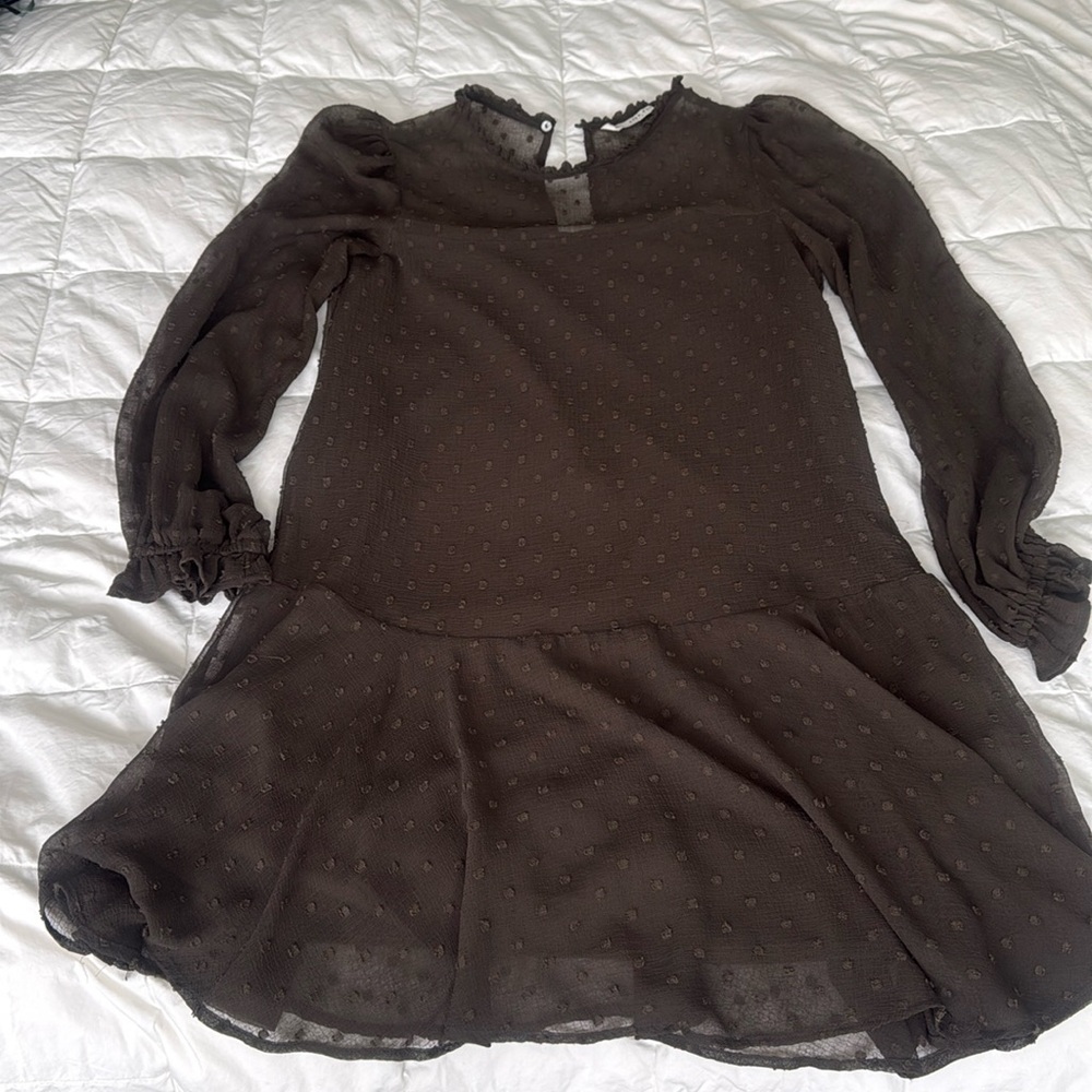 ZARA Brown Swiss Dot Dress Drop Waist Size Large